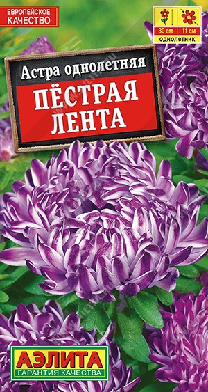 Семена Астра Пестрая лента (Аэлита)