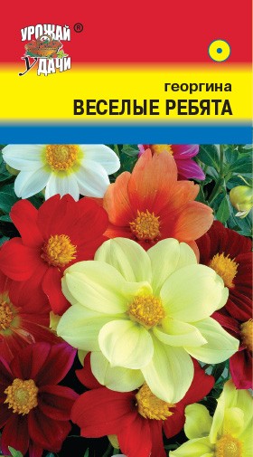 Семена Георгина Смесь Веслые ребята УУД