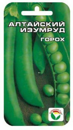 Семена Горох Алтайский изумруд  (Сиб сад)