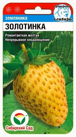 Семена Земляника Золотинка (Сиб Сад)