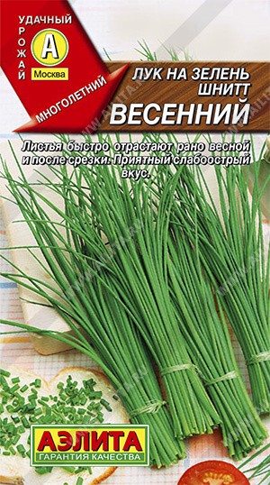 Семена Лук шнитт Весенний (Аэлита)