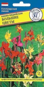 Семена Канна Большие цветы индийская (Престиж)