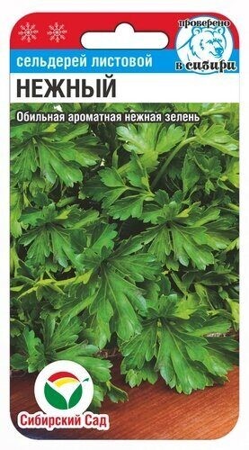 Семена Сельдерей листовой Нежный (Сиб Сад)