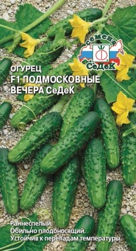 Семена Огурец подмосковные вечера F1 (СеДеК)