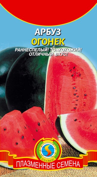 Семена Арбуз Огонек 1г. ПЛ