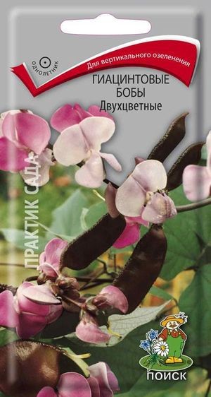 Семена Гиацинтовые бобы (Долихос) (Поиск)