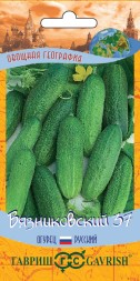Огурец Вязниковский 37 (Гавриш)