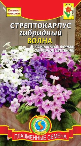 Семена Стрептокарпус гибридный Волна смесь