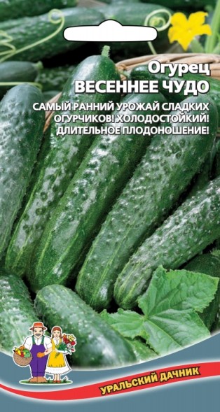 Семена Огурец Весеннее чудо F1 УД