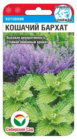 Семена Котовник Кошачий бархат (Сиб Сад)