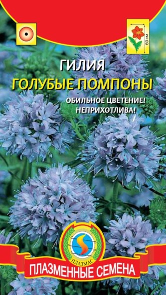 Семена Гилия Голубые помпоны ПЛ
