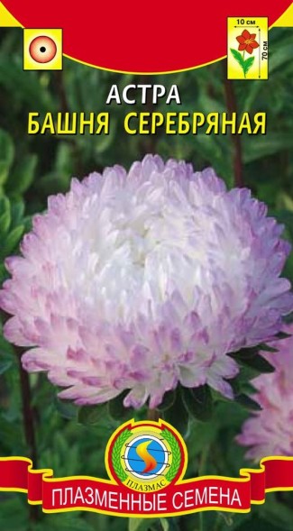 Семена Астра Башня Серебряная ПЛ