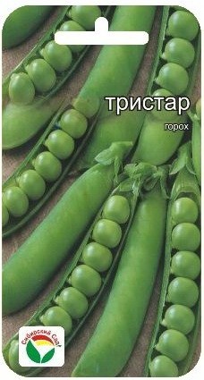 Семена Горох Тристар  (Сиб сад)