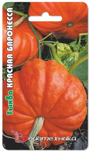Семена Тыква Красная Баронесса (Биотехника)