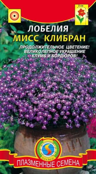 Семена Лобелия Мисс Клибран ПЛ