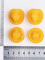 Семена Томат Черри Краски F1 (Партнер)