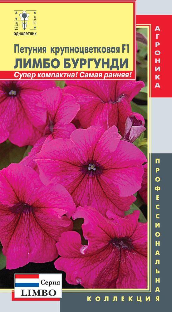 Петуния лимбо отзывы фото до и после