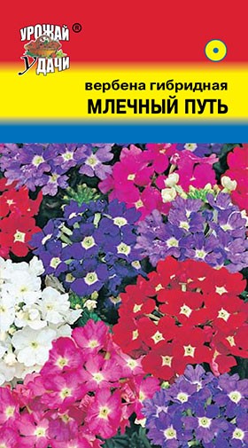 Семена Вербена гибридная Млечный путь УУД