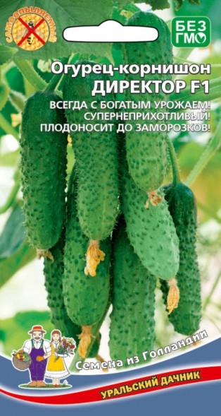 Семена Огурец Директор F1 УД
