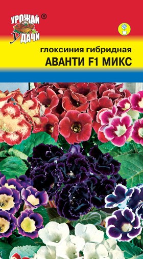 Семена Глоксиния Аванти Микс F1 УУД
