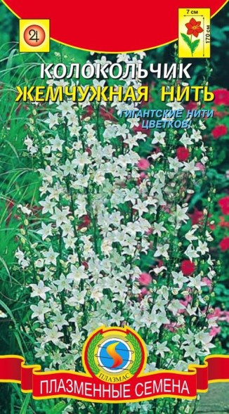Семена Колокольчик Жемчужная нить ПЛ