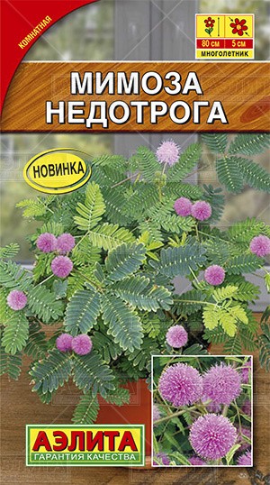 Семена Мимоза Недотрога (Аэлита)