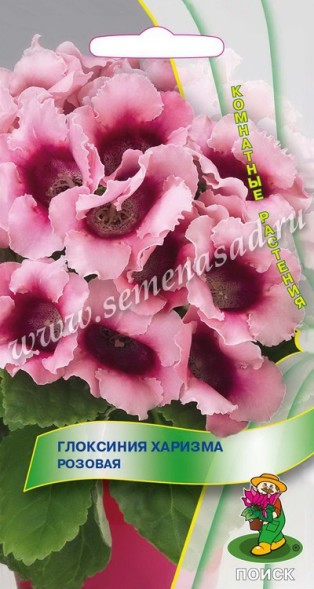 Семена Глоксиния Харизма Розовая (Поиск)