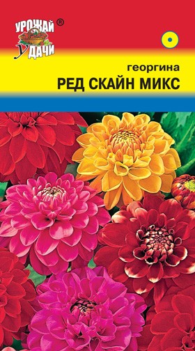 Семена Георгина Ред Скайн Микс смесь УУД