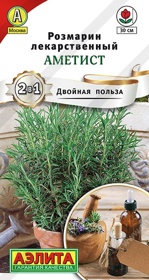 Семена Розмарин Аметист (Аэлита)