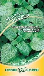 Мелисса лекарственная Исидора (Гавриш)