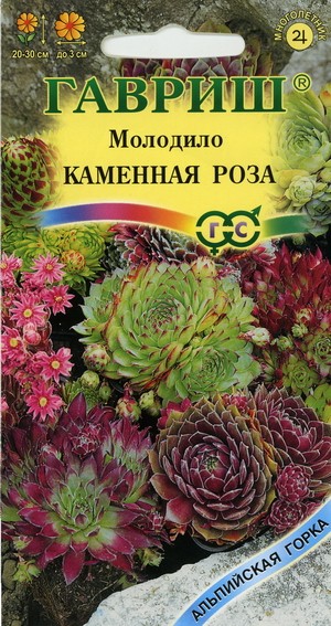 Семена Молодило &amp;quot;Каменная роза&amp;quot; (Гавриш)