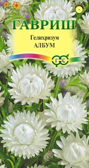Семена Гелихризум Албум (Гавриш)