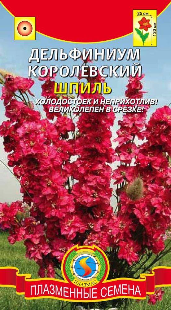 Дельфиниум Однолетний Купить Семена