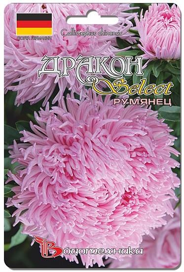 Семена Астра Дракон Селект Румянец (Биотехника)