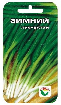 Семена Лук батун Зимний (Сиб сад)