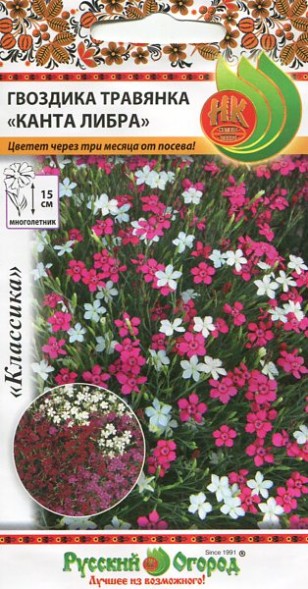 Семена Гвоздика травянка Канта-Либра (НК)