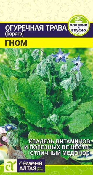 Семена Бораго (огуречная трава) Гном (Семена Алтая)