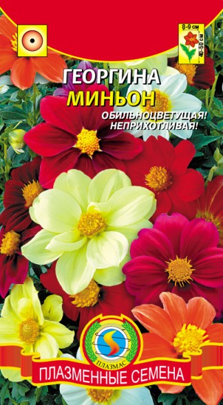 Семена Георгина Миньон ПЛ