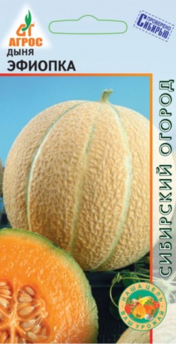 Дыня Эфиопка Агрос)