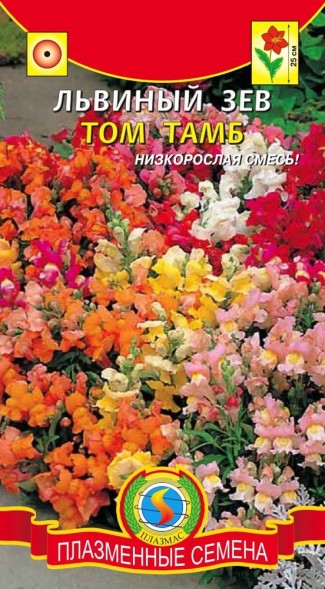 Семена Львиный зев Том Тамб ПЛ