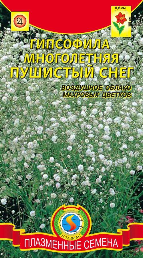 Гипсофилы Купить Семена Цена