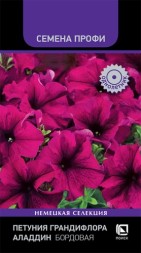 Петуния Аладдин Бордовая грандифлора  (Поиск)