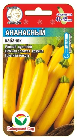 Семена Кабачок Ананасный (Сиб Сад)
