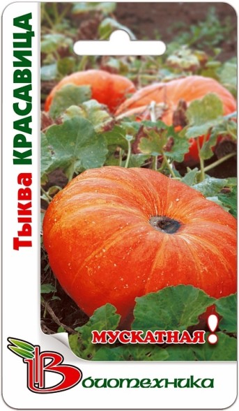 Семена Тыква Красавица (Биотехника)