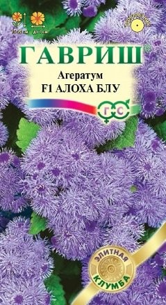 Семена Агератум Алоха Блу F1 (Гавриш)