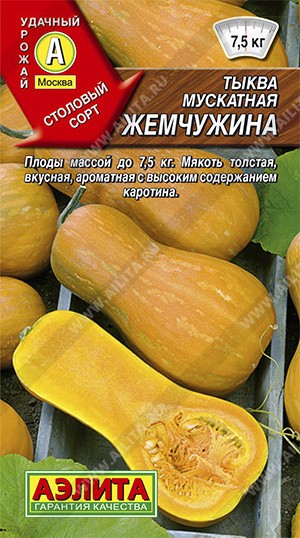 Семена Тыква Жемчужина мускатная (Аэлита)