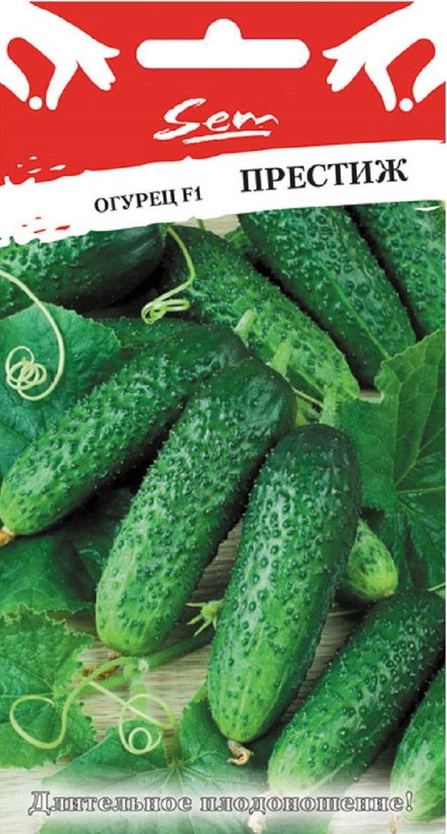 Сорт Огурца Хрустик Отзывы Фото