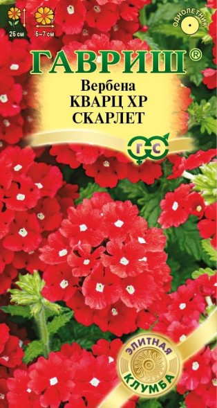 Семена Вербена Кварц ХР Скарлет (Гавриш)