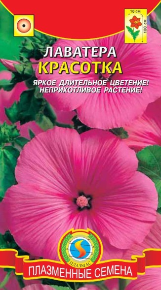 Семена Лаватера Красотка ПЛ