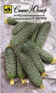 Семена Огурец Сатина F1 (Семко)